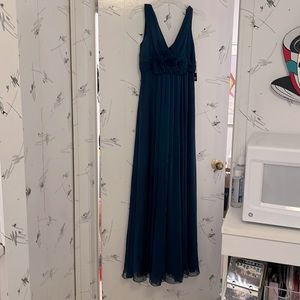 Adrianna Papell Ocassions Chiffon Evening Gown (NEW)